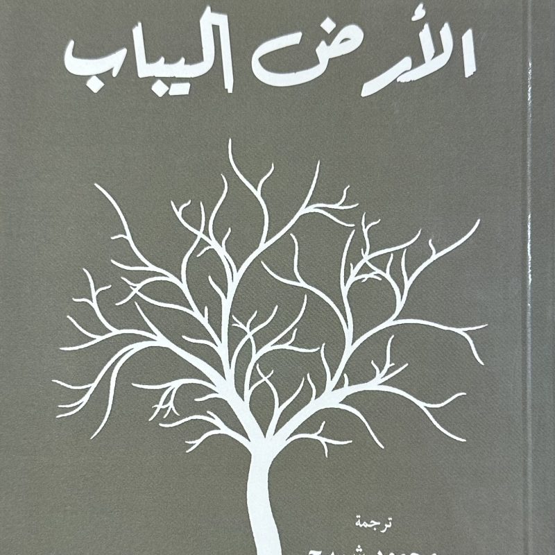 الارض اليباب